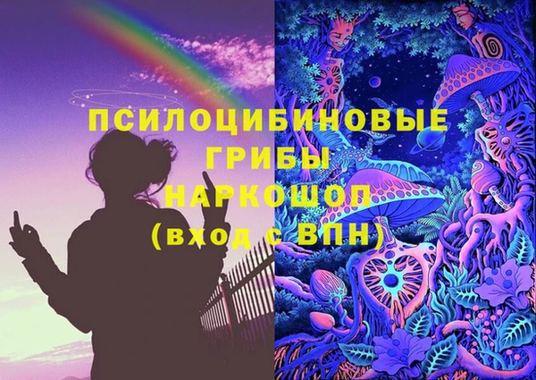бошки Тайга