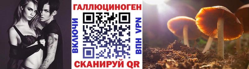 Галлюциногенные грибы прущие грибы  купить наркотики сайты  Феодосия 