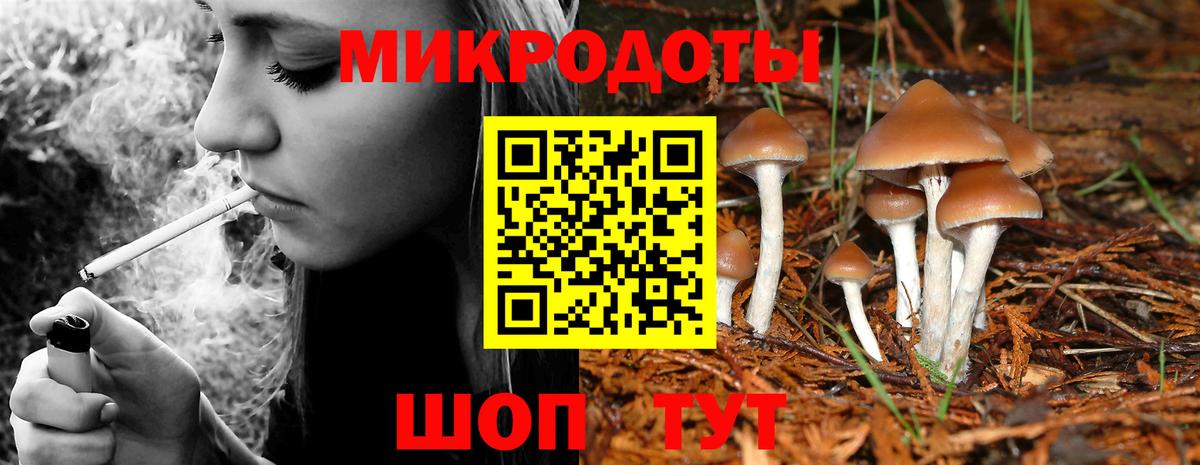 Галлюциногенные грибы Psilocybine cubensis Феодосия